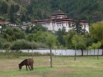 Vue sur le dzong